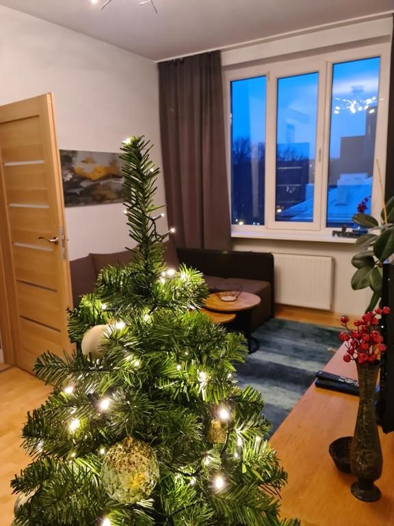 Апартаменты Lovely central apartment in Klaipeda Клайпеда-87